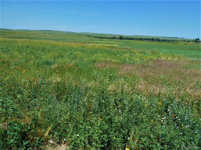 27925 Bambi Ave, Simla, CO 80835