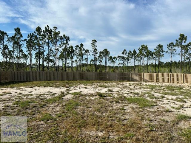 345 McClelland Loop NE, Ludowici, GA 31316