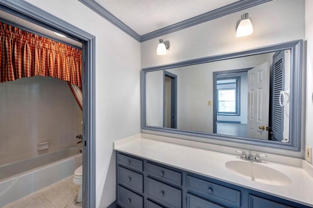 13106 Lookout Mountain Court, Houston, TX 77069