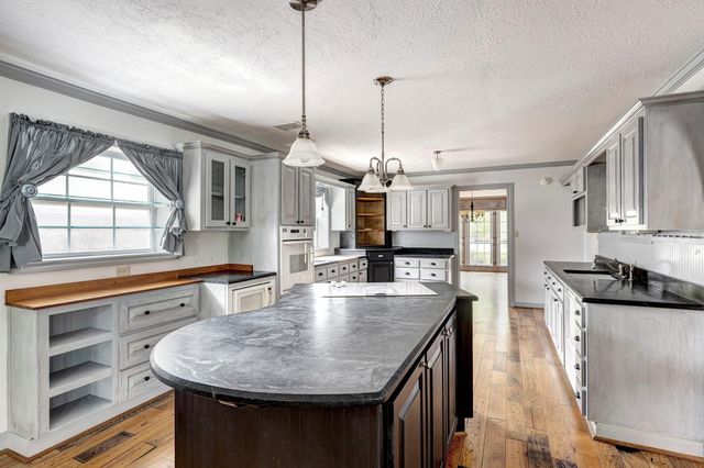 13106 Lookout Mountain Court, Houston, TX 77069