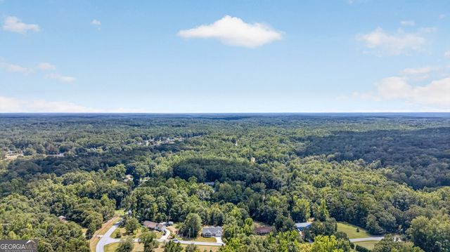 15 Salem Branch Drive, Covington, GA 30016