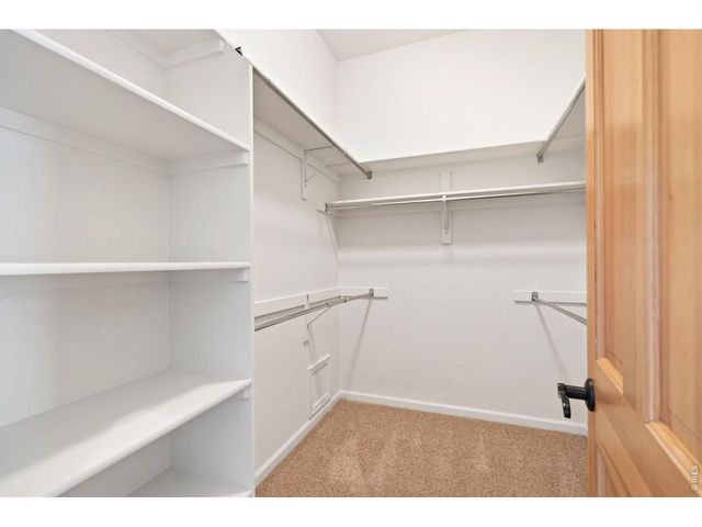 6535 Half Moon Bay Dr, Windsor, CO 80550