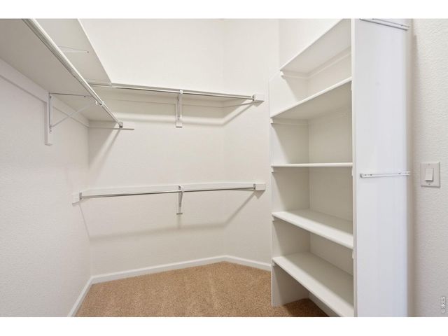 6535 Half Moon Bay Dr, Windsor, CO 80550