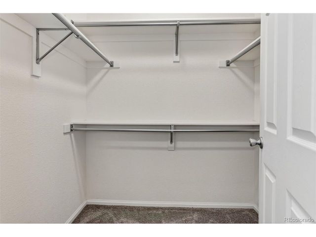 479 Black Feather Loop 311, Castle Rock, CO 80104