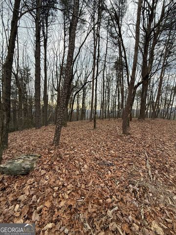LOT 6 Westmoreland Road, Cleveland, GA 30528