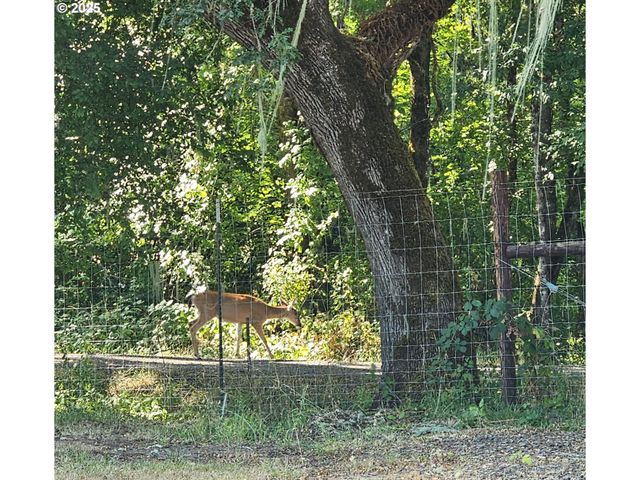 524 AZALEA Dr, Elkton, OR 97436