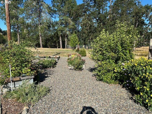 524 AZALEA Dr, Elkton, OR 97436