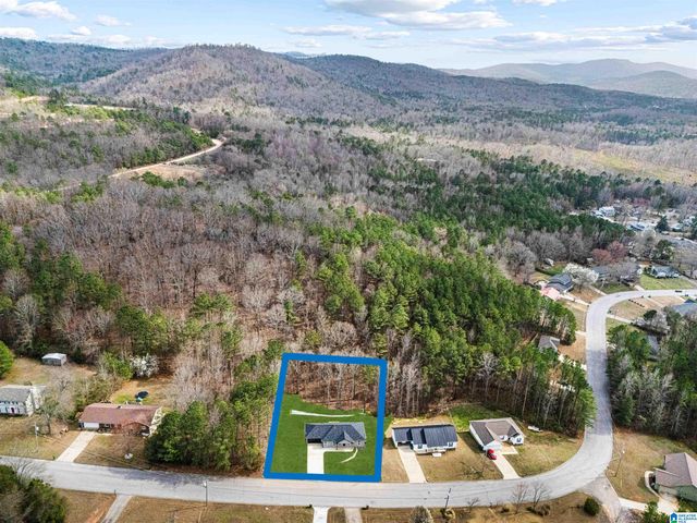 1408 LOUISE DRIVE, Jacksonville, AL 36265