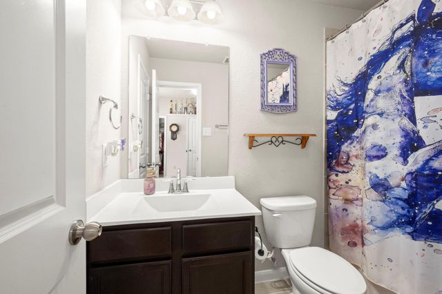 201 Climbing Oaks Place, Montgomery, TX 77316