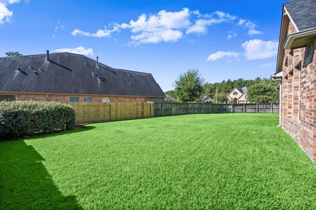 201 Climbing Oaks Place, Montgomery, TX 77316