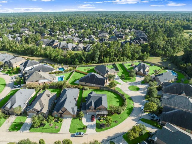 201 Climbing Oaks Place, Montgomery, TX 77316