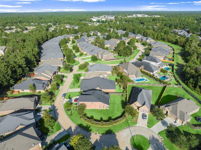 201 Climbing Oaks Place, Montgomery, TX 77316