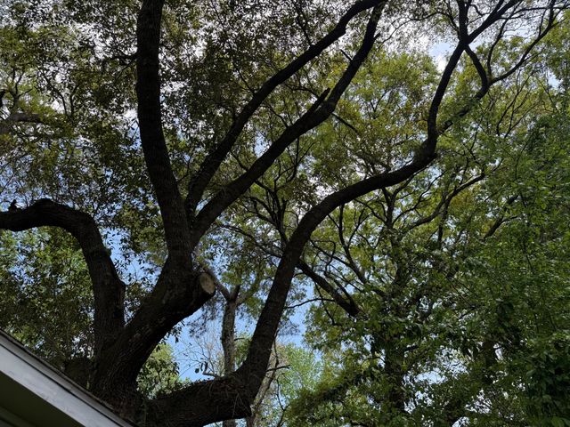 1929 Kerry Street, North Charleston, SC 29406