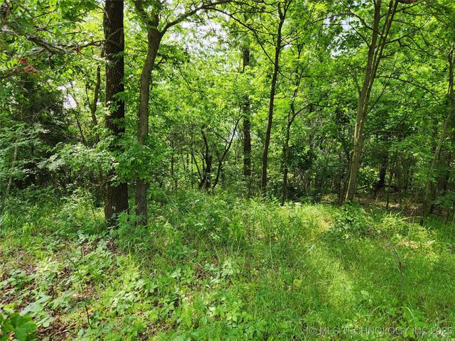 S 043 Road, Locust Grove, OK 74352