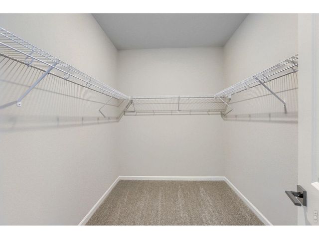 678 Noola St, Windsor, CO 80550