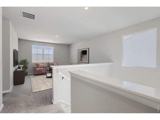 678 Noola St, Windsor, CO 80550