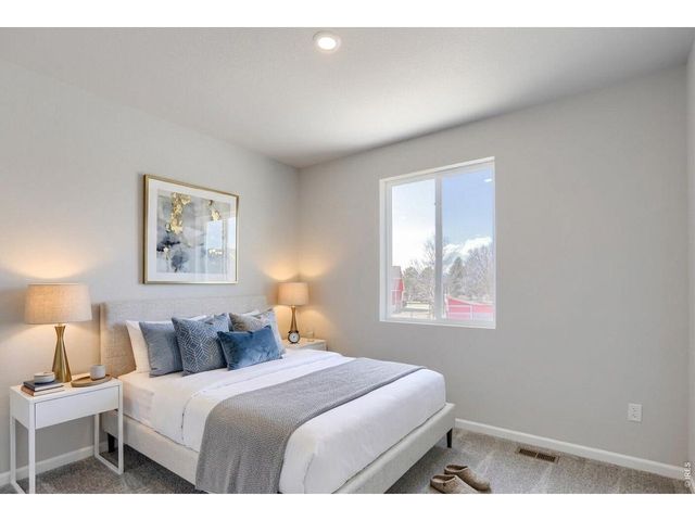 678 Noola St, Windsor, CO 80550