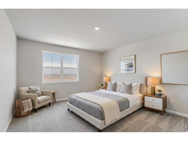 678 Noola St, Windsor, CO 80550