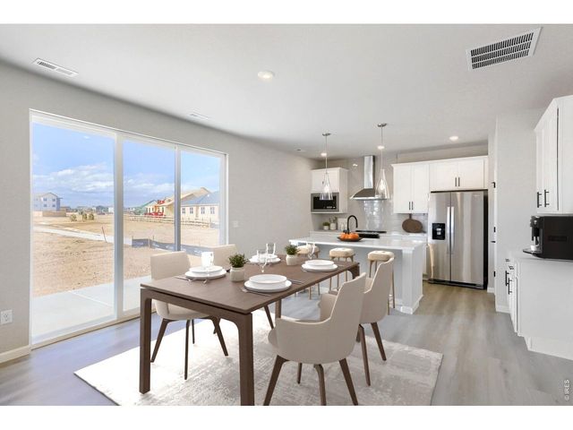 678 Noola St, Windsor, CO 80550
