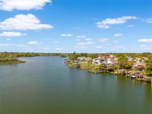 1240 VINETREE DRIVE, Brandon, FL 33510