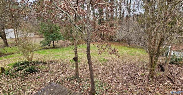 417 Mcfoilton Lane, Scottsboro, AL 35768