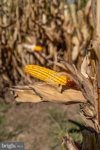 55 MARGROW RD, Tunkhannock, PA 18657