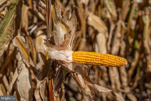 55 MARGROW RD, Tunkhannock, PA 18657