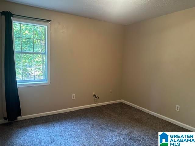 10771 DIAMOND DRIVE, Cottondale, AL 35453