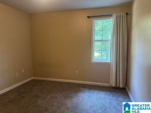 10771 DIAMOND DRIVE, Cottondale, AL 35453