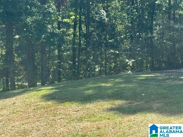 10771 DIAMOND DRIVE, Cottondale, AL 35453