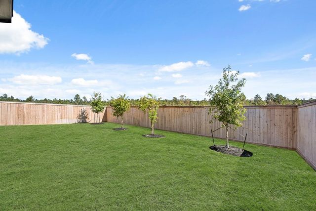27011 West Rustlers Bend, Montgomery, TX 77316