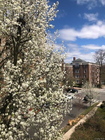 15 Meadow Avenue 6, Bronxville, NY 10708