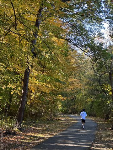 15 Meadow Avenue 6, Bronxville, NY 10708