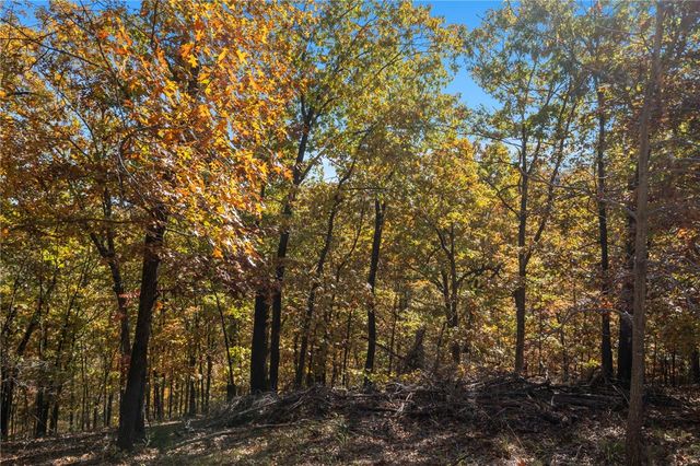 Tract 6 CR 1562, Eureka Springs, AR 72632