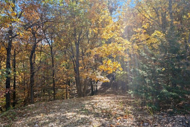 Tract 6 CR 1562, Eureka Springs, AR 72632