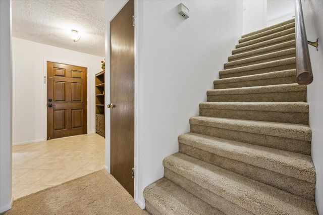 11726 Dorrance Lane, Meadows Place, TX 77477