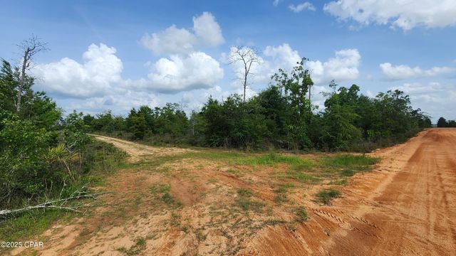 0 Petty Road Lot 11, Marianna, FL 32448