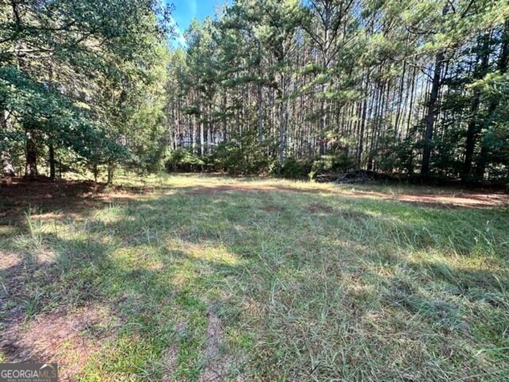 0 Commonwealth Drive, Martin, GA 30557 — exterior