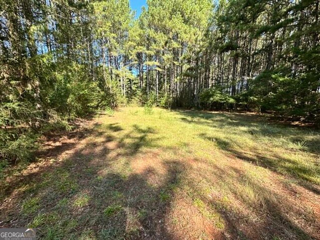 0 Commonwealth Drive, Martin, GA 30557 — photo 2