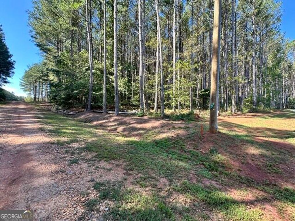 0 Commonwealth Drive, Martin, GA 30557 — photo 4