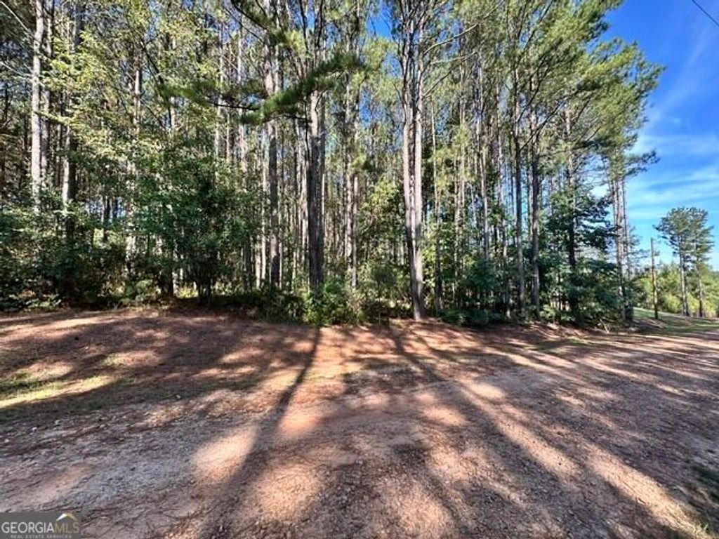 0 Commonwealth Drive, Martin, GA 30557 — photo 5