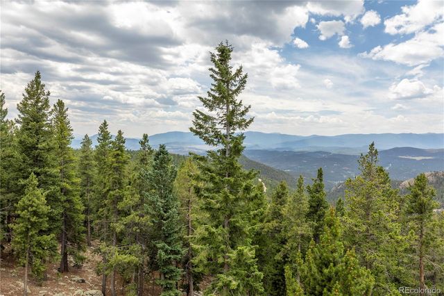 31320 Timothys Trail, Conifer, CO 80433