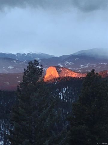 31320 Timothys Trail, Conifer, CO 80433