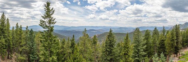 31320 Timothys Trail, Conifer, CO 80433