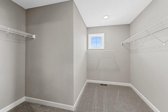 1742 Upper 141st Street E, Rosemount, MN 55068