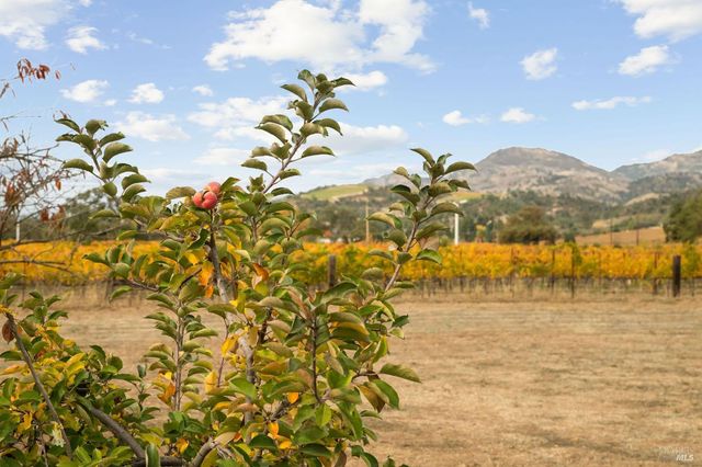 4171 Silverado Trl, Napa, CA 94558