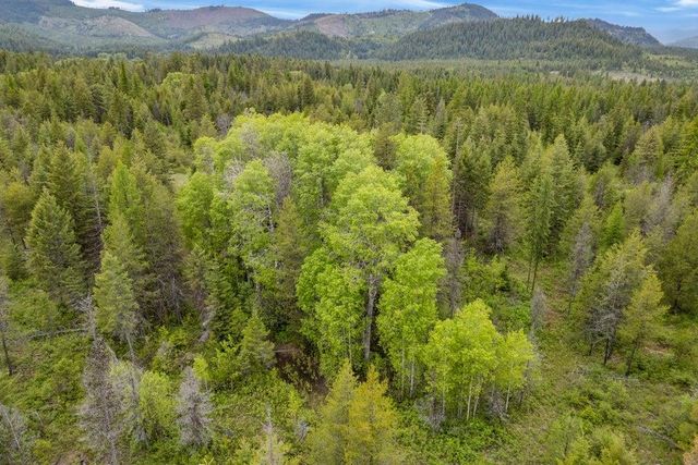 000 Hesseltine Lot 4 Rd, Valley, WA 99181