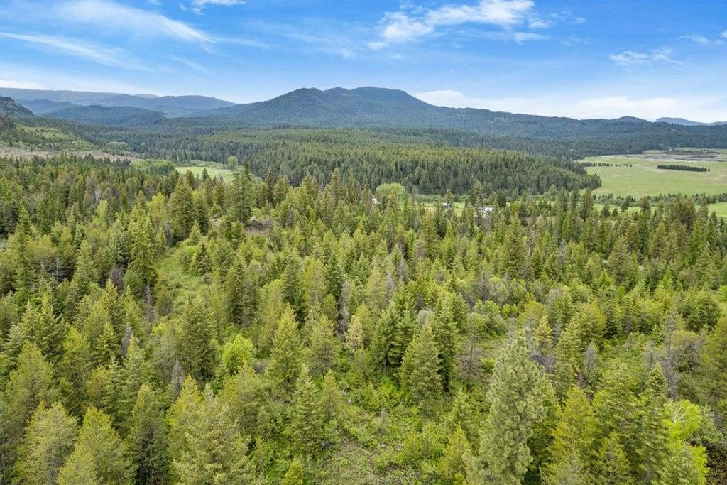 000 Hesseltine Lot 4 Rd, Valley, WA 99181 photo 12