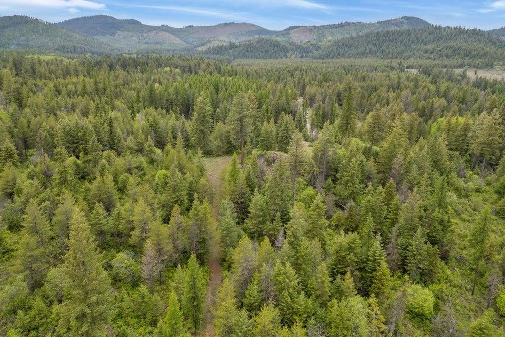 000 Hesseltine Lot 4 Rd, Valley, WA 99181 photo 13