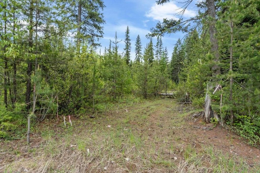 000 Hesseltine Lot 4 Rd, Valley, WA 99181 photo 16